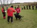 DSC02386.JPG